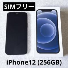 SIMフリー　iPhone 12 256GB ブラック 本体