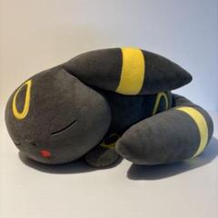 すやすやエーフィ すやすやブラッキー Amazon.co.jp: ぬいぐるみ すやすやブラッキー 22.5×55×42(H×W×D