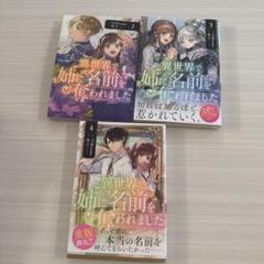 異世界で姉に名前を奪われました　4巻 限​定​販​売​】 Amazon.co.jp: アニメイト 異世界で姉に名前を奪