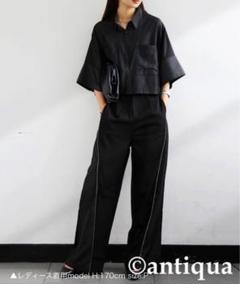 antiqua ストライプ 切り替えワイドパンツ