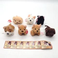 すき2わんちゃん ふわっこクラブ ぬいぐるみ まとめ売り