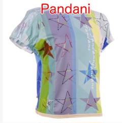 ☆半額　新品☆定価19,613　L　サイクル　半袖　赤系　ゲーム風　パンダーニ Pandani Web Shop（オリジナルサイクルジャージ、ランニング