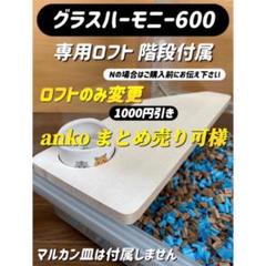 緑茶オーダーページ グラスハーモニー600カミカミ防止ロフト GEX GEX Harmony 小動物用飼育ケージ グラスハーモニー 600N
