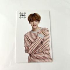 EXO ベッキョン sum トレカ
