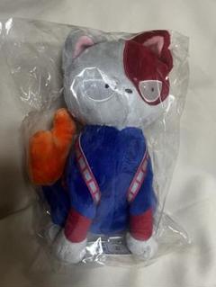 2025年最新】ショートキャット 轟 ぬいぐるみの人気アイテム