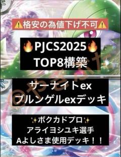 24時間以内発送✨サーナイトブルンゲル　優勝　構築済みデッキ 24時間以内発送✨サーナイトブルンゲル 優勝 構築済みデッキ