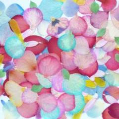 在庫整理/訳あり☆押し花素材：花びらmixと葉っぱ（ 686 レジン パーツ）