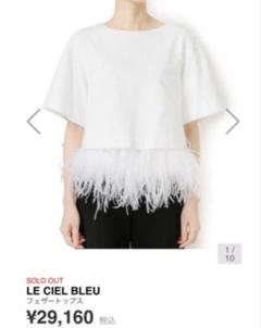 ルシェルブルー　　フェザートップスのサムネイル
