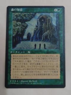 マジック：ザ・ギャザリング - MTG CC1版 foil「森の知恵」 森の知恵/Sylvan Library》[EMA] 緑R | 日本最大級 MTG通販