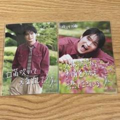 SHOW-WA 青山隼パネル＋君の王子様 CD 14枚セット SHOW-WA 青山隼パネル＋君の王子様 CD 14枚セット