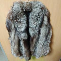 楽天市場】サガフォックス ロイヤルの通販