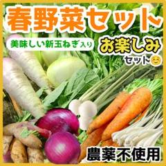 新鮮野菜セッ ト　60サイズいっぱい野菜詰め合わせのサムネイル