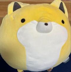 タヌキとキツネ キツネのみ もっちぃもっちぃ