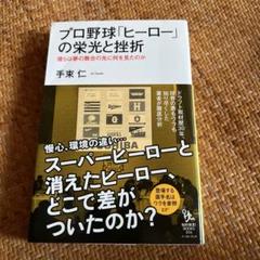 プロ野球「ヒーロー」の栄光と挫折 : 彼らは夢の舞台の先に何を見たのかのサムネイル