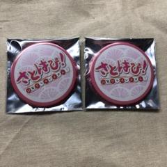 いちごまりん さとはぴ 缶バッジ 2025年最新】すとぷり さとみくん 缶バッジ さとはぴの人気