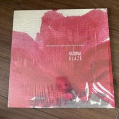 NATURAL BLAZE James Toney Jr. Project LP