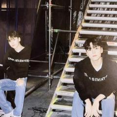 SEVENTEEN バーノン　CARAT LANDポストカード2枚セット