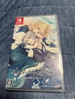 2025年最新】Nintendo Switch ピオフィオーレの晩鐘の人気