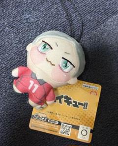 ハイキュー　灰羽リエーフ　にとたん　ぬいぐるみ　マスコット　音駒高校　値下げ不可 ハイキュー 灰羽リエーフ にとたん ぬいぐるみ マスコット 音駒