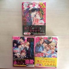 【お得セット!溺愛シリーズ♡】恋愛小説 まとめ売り
