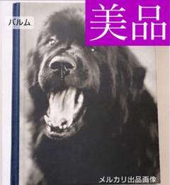 ブルース ウェーバー　写真集など希少品 Amazon.co.jp: Branded Youth and Other Stories : Bruce Weber: 本