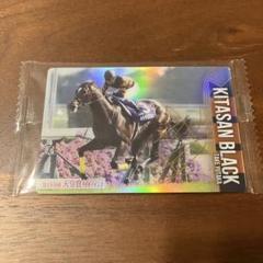 サラブレッドホースコレクション スクリーンヒーロー サイン