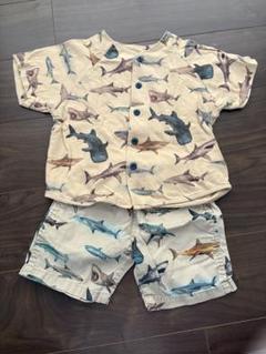 Ocean&ground サメ柄 Tシャツ ハーフパンツ セットアップ 100