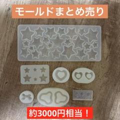 レジンモールド まとめ売り 破格！