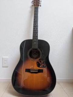 morris モーリス　M-01ⅡTS アコギ M-01 II | 生産完了品 | MORRIS GUITARS モーリスギター