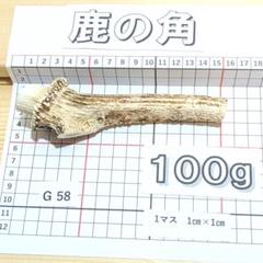 鹿の角 G58 100g 兵庫県産 鹿角 鹿のツノ しかつの - メルカリ