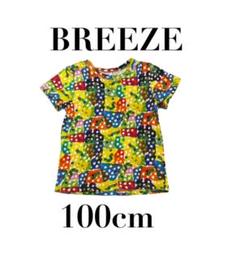 【ブリーズ×エリックカール】はらぺこあおむし　半袖Tシャツ　キッズ　100
