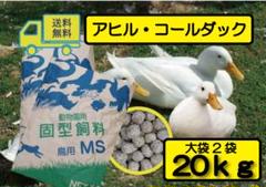 ★大特価・送料無料【アヒル・コールダック用飼料・ペレット】20kg 2025年最新】アヒル用ペレットの人気アイテム - メルカリ