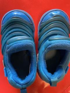 ナイキNIKE ダイナモフリー 14cm ブルー
