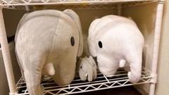 象の形のクッション 3サイズセット