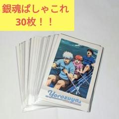 銀魂　万事屋　ぱしゃこれ　カード　坂田銀時　神楽　志村新八