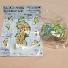 【値下げ】立体カプセル百科事典 原色日本立体地図図鑑 JR路線網図版(東北地方)