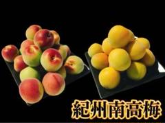 専用出品　ローズ様　完熟南高3L2L6kg 紫の梅M2Kg 専用出品 ローズ様 完熟南高3L2L6kg 紫の梅M2Kg - メルカリ