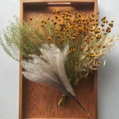 ドライフラワー　花材セット　マメグンバイナズナ　ハルシャギクのサムネイル