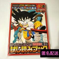 ドラゴンボールZ タペストリー 超希少品 非売品 ドラゴンボールZ タペストリー 超希少品 非売品 - メルカリ
