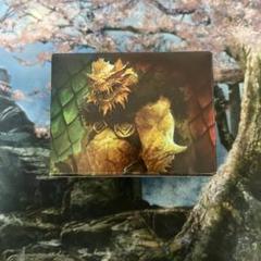 MTG フォーゴトン・レルム探訪 統率者デッキ ドラゴンの怒り　英語版 フォーゴトン・レルム探訪 統率者デッキ ドラゴンの怒り