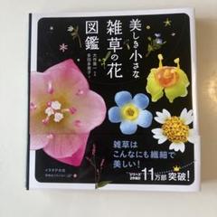 美しき小さな雑草の花図鑑