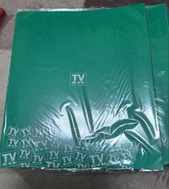 TVガイドクリアフォルダ グリーン