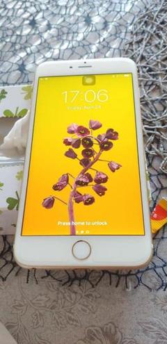 Apple - 【超美品 本体のみ】Docomo ドコモ iPhone6 16gb ゴールド ムスビー｜○ハピネスネット iPhone6 16GB ゴールド バッテリー