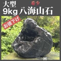 【逸品】 八海石セット5.8キロ レイアウト用品