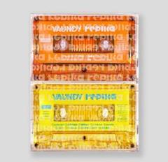 Vaundy バウンディ replica 完全生産限定盤 カセット メガジャケ
