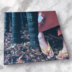 花鳥風月 ｜ SPITZ OFFICIAL WEB SITE
