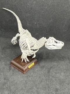 ネイチャーテクニカラー 古生物　ティラノサウルス(骨格標本色)