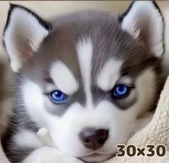 30×30 ダイヤモンドアート キット ラウンド 犬 ハスキー ドアップ
