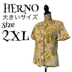【大きいサイズ】【44】HERNO♡ヘルノ トップス カットソー レディース