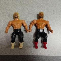 Wwe awa remco プロレスフィギュア ファビラスワンズ